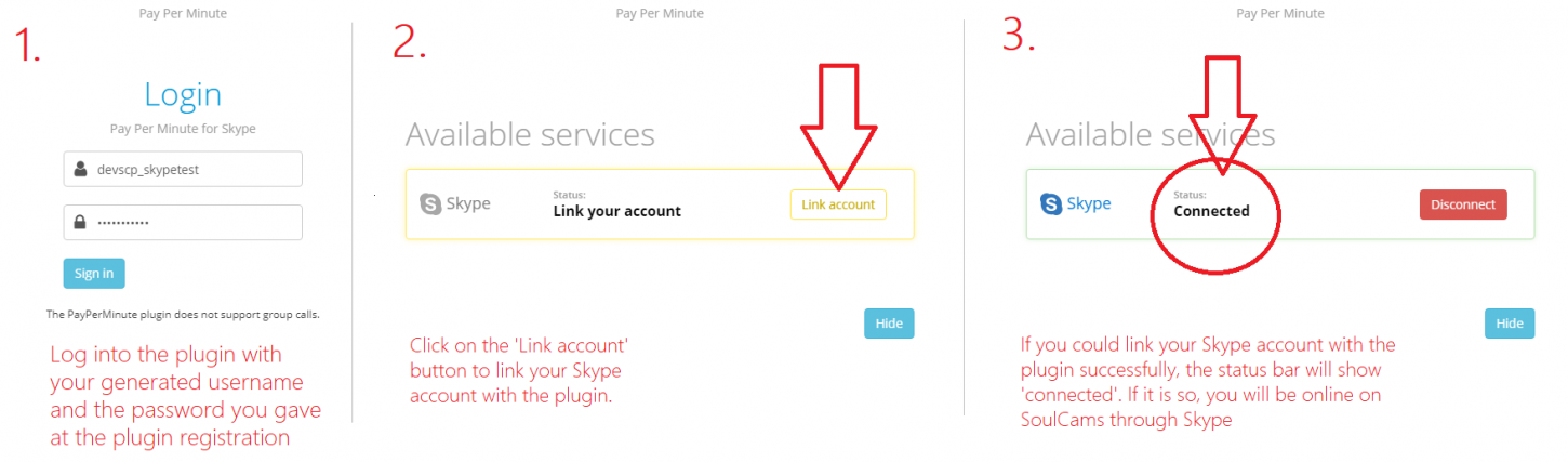 Pay per minute skype plugin.png